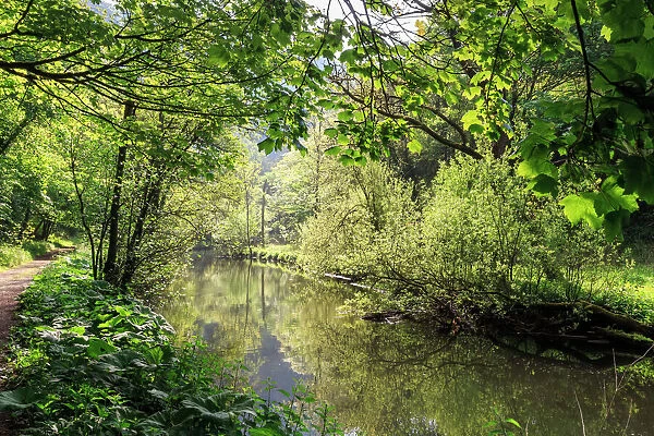 River Wye lined by trees in spring leaf with riverside track, reflections in calm water