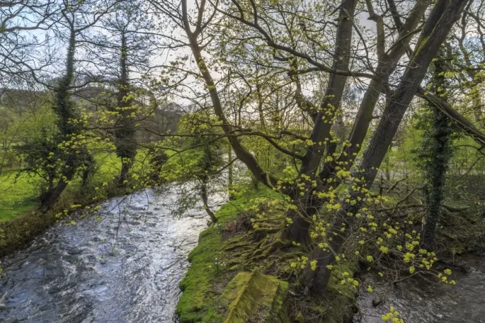 Framed Print : River Wye, trees and Peak Tor in spring, Rowsley, Derbyshire, England, United Kingdom, Europe Framed Print : River Wye, trees and Peak Tor in spring, Rowsley, Derbyshire, England, United Kingdom, Europe