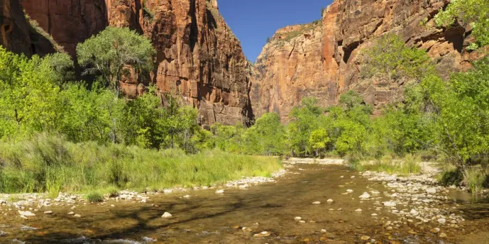 Framed Print : Riverside Walk, Temple of Sinawava, Zion National Park, Colorado Plateau, Utah Framed Print : Riverside Walk, Temple of Sinawava, Zion National Park, Colorado Plateau, Utah