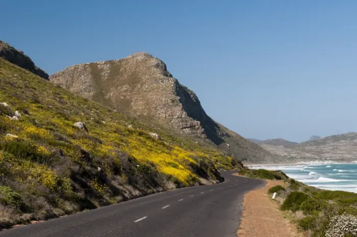 Framed Print : Empty road to Cape of Good Hope, Cape Town, South Africa, Africa Framed Print : Empty road to Cape of Good Hope, Cape Town, South Africa, Africa