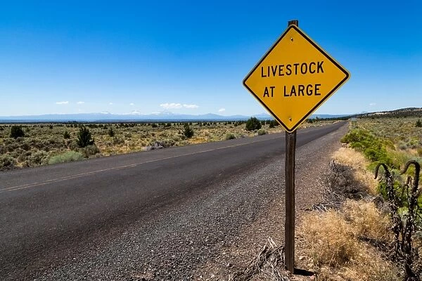 Empty road in central Oregons High Desert with Livestock at Large sign and the Three