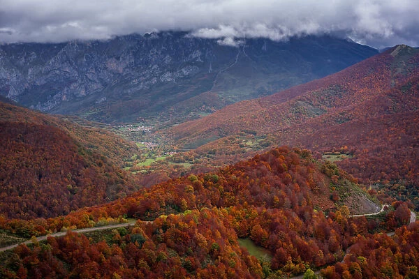 Road crossing beautiful colorful autumn tree landscape in Picos de Europa National Park