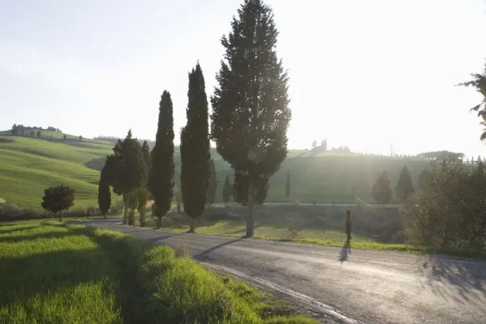 Framed Print : Road and cypresses near Pienza