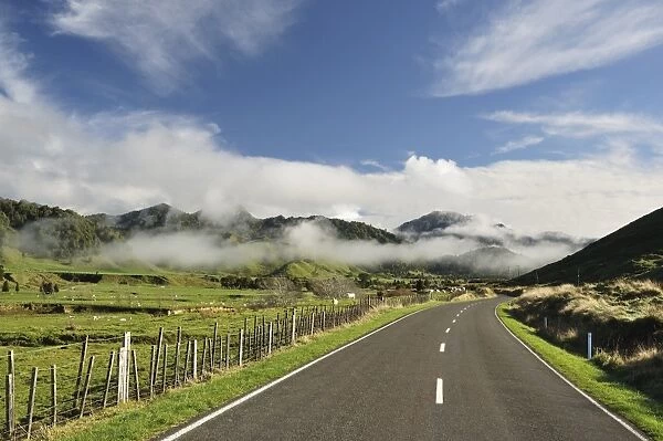 Road and farmland, near Matawai, Gisborne, North Island, New Zealand, Pacific