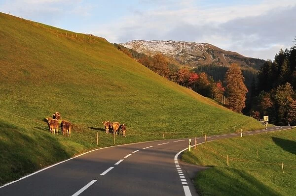 Road, Hasliberg, Berner Oberland, Switzerland, Europe