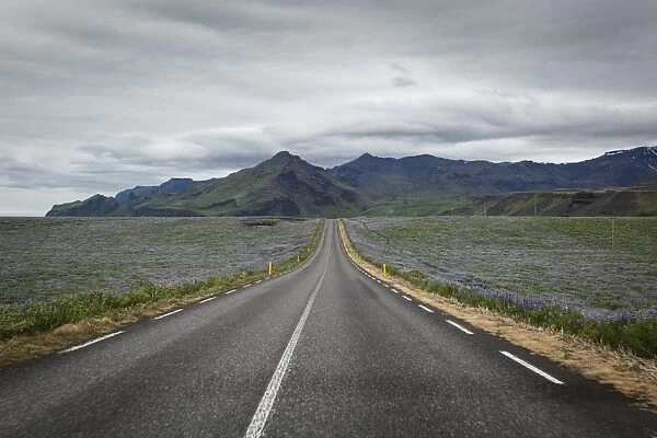 Empty road, Iceland, Polar Regions