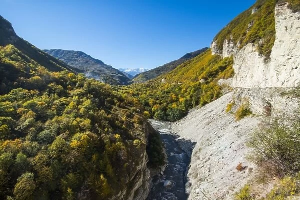 Road leading through a beautiful gorge on the Argun River in the mountains of Chechnya, Caucasus, Russia, Europe