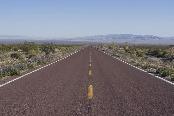 Road through the Mojave Desert, California, United States of America, North America