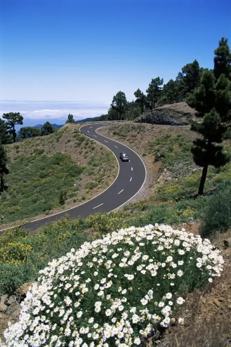 Framed Print : Road near Las Moradas, La Palma, Canary Islands, Spain, Europe Framed Print : Road near Las Moradas, La Palma, Canary Islands, Spain, Europe