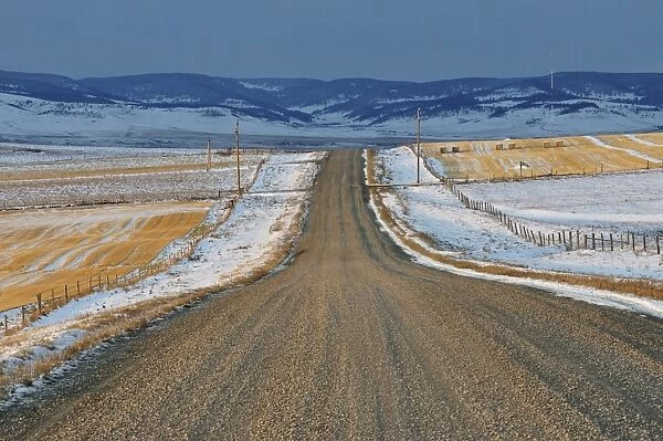 Road near Pincher Creek, Alberta, Canada, North America