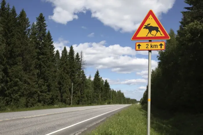 Framed Print : Road sign for elk crossing, Highway Number 14, Punkaharju Ridge, Savonlinna Framed Print : Road sign for elk crossing, Highway Number 14, Punkaharju Ridge, Savonlinna