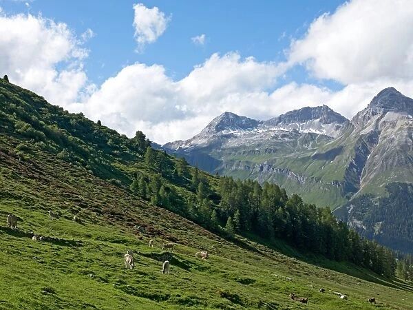 The road to Splugen Pass, Canton Graubunden, Swiss Alps, Switzerland, Europe