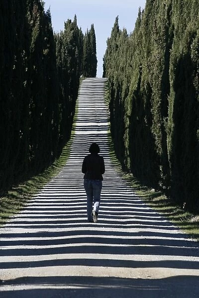 Road in Tuscany, Italy, Europe