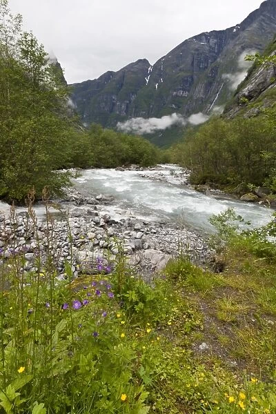 Roaring river, wildflowers and mountains, Lodal Valley near Kjenndalen Glacier, Loen, Norway, Scandinavia, Europe