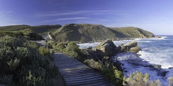 Robberg Nature Reserve, Plettenberg Bay, Western Cape, South Africa, Africa