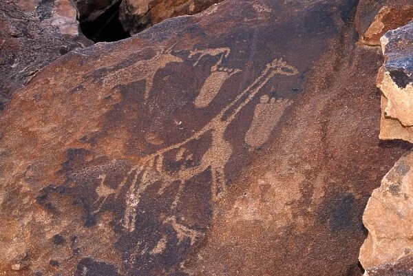 Rock engravings, UNESCO World Heritage Site, Twyfelfontein, Namibia, Africa