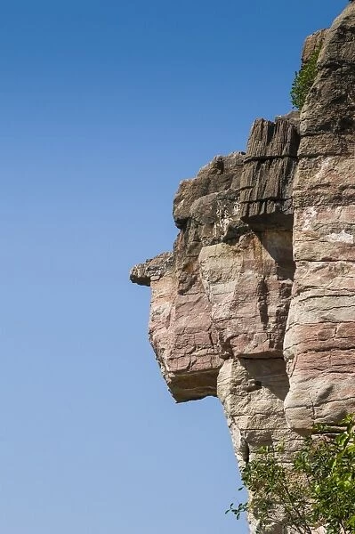 Rock face, Geiki Gorge, the Kimberleys, Western Australia, Australia, Pacific