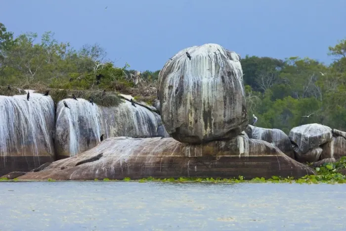 Framed Print : Rock formation with crocodiles and cormorants at Kumana National Park, formerly Yala East, Kumana, Eastern Province, Sri Lanka, Asia
