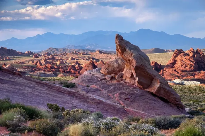 Framed Print : Rock formations and desert landscape at sunset, Valley of Fire State Park, Nevada, United States of America, North America Framed Print : Rock formations and desert landscape at sunset, Valley of Fire State Park, Nevada, United States of America, North America