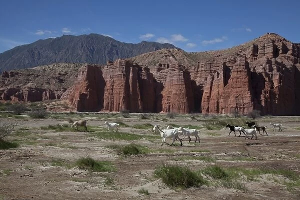 Rock formations in the foothills of Andes in Cafayate region, Salta, Argentina, South