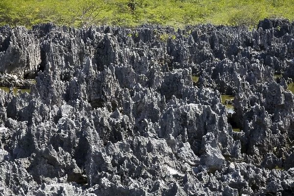 Rock Formations in Hell, Grand Cayman, Cayman Islands, Greater Antilles, West Indies, Caribbean, Central America