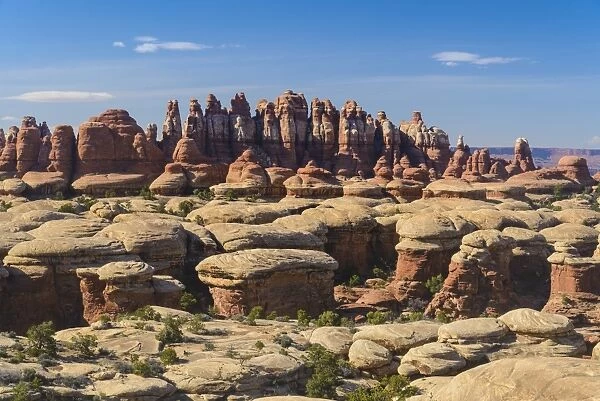 Rock Formations, The Needles section of Canyonlands National Park, Utah, USA