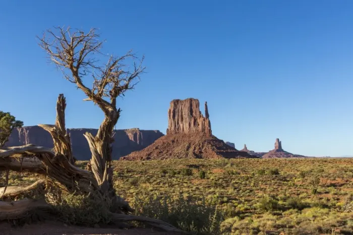 Framed Print : Rock formations and tree, Monument Valley, Navajo Tribal Park, Arizona, United States of America Framed Print : Rock formations and tree, Monument Valley, Navajo Tribal Park, Arizona, United States of America