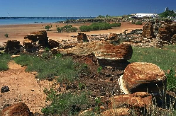 Rock forms, Broome, Kimberley, Western Australia, Australia, Pacific