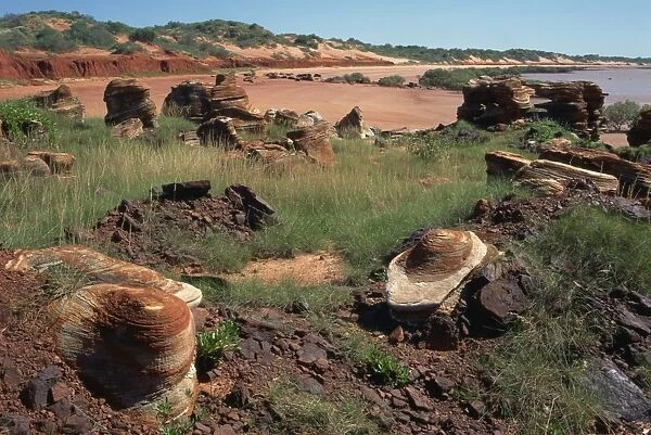 Rock forms around port, Broome, Kimberley, Western Australia, Australia, Pacific