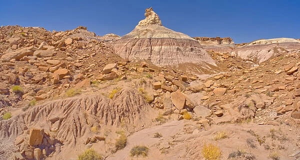 A rock hoodoo shaped like a horse head, along the base of Blue Mesa in Petrified Forest