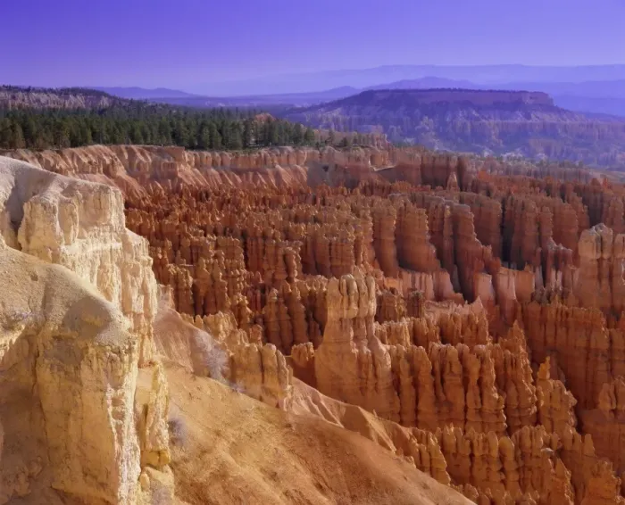 Framed Print : Rock Hoodoos in Bryce Amphithreatre Framed Print : Rock Hoodoos in Bryce Amphithreatre