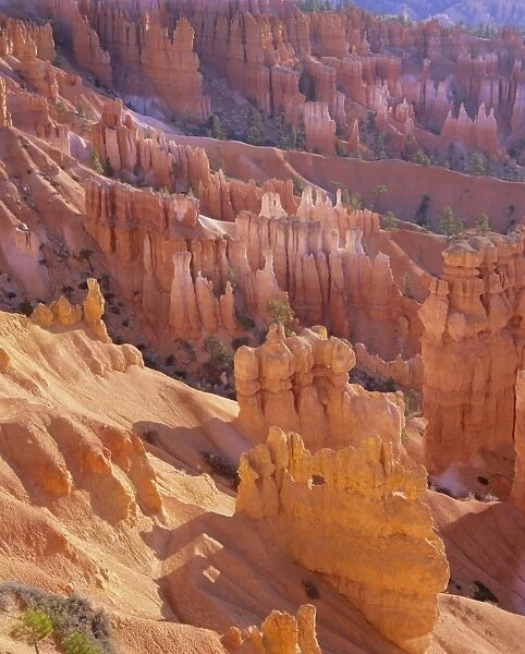 Rock Hoodoos from Sunset Point