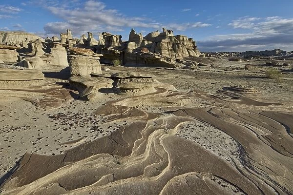 Rock layers in the badlands, Bisti Wilderness, New Mexico, United States of America, North America