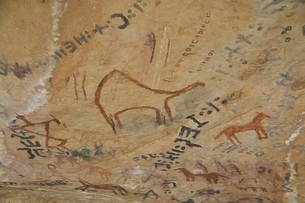 Rock paintings in the Tassili n Ajjer, UNESCO World Heritage Site, Southern Algeria
