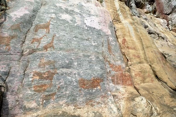 Rock paintings, Tsodilo Hills, UNESCO World Heritage Site, Botswana, Africa