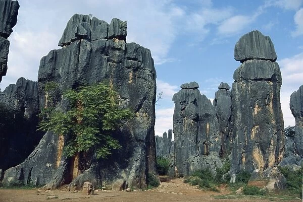 Rock pinnacles in the Stone Forest in Yunnan Province, China, Asia