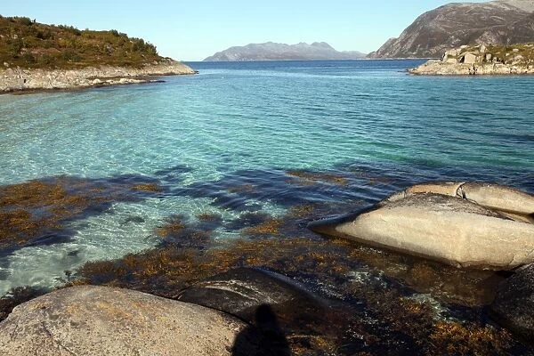 Rock and weed in harbour at Gasvaer, Kvalfjord, Troms, North Norway, Norway, Scandinavia, Europe