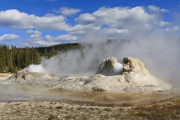 Rocket and Grotto cone geysers erupt, Upper Geyser Basin, Yellowstone National Park, UNESCO World Heritage Site, Wyoming, United States of America, North America