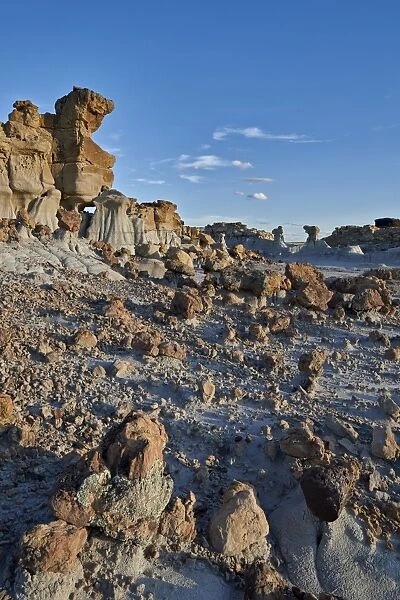 Rocks in the badlands, Ah-Shi-Sle-Pah Wilderness Study Area, New Mexico, United States of America