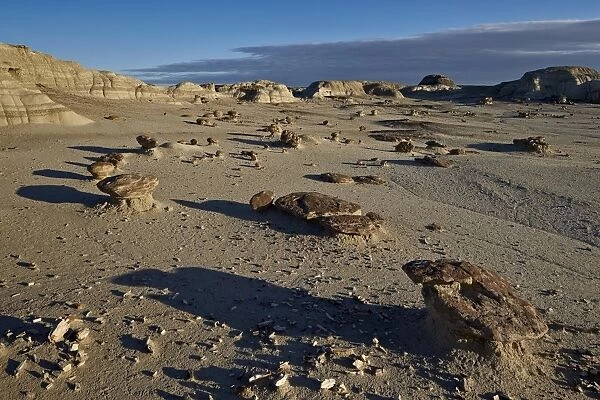 Rocks in the badlands, Bisti Wilderness, New Mexico, United States of America, North America
