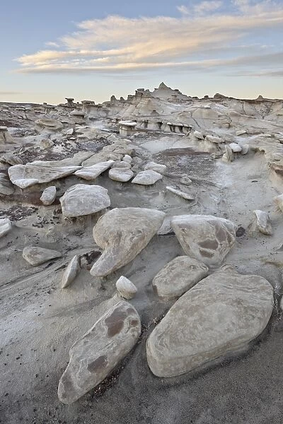 Rocks in the badlands at sunrise, Bisti Wilderness, New Mexico, United States of America, North America