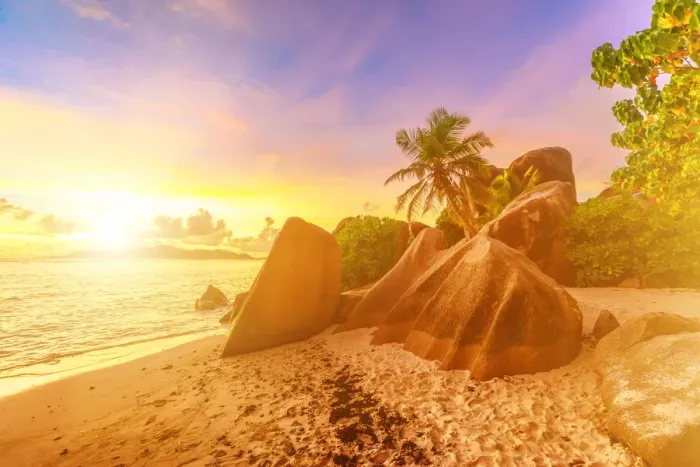 Framed Print : Rocks on beach and palm trees, Anse Source d Argent at sunset, La Digue, Seychelles Framed Print : Rocks on beach and palm trees, Anse Source d Argent at sunset, La Digue, Seychelles