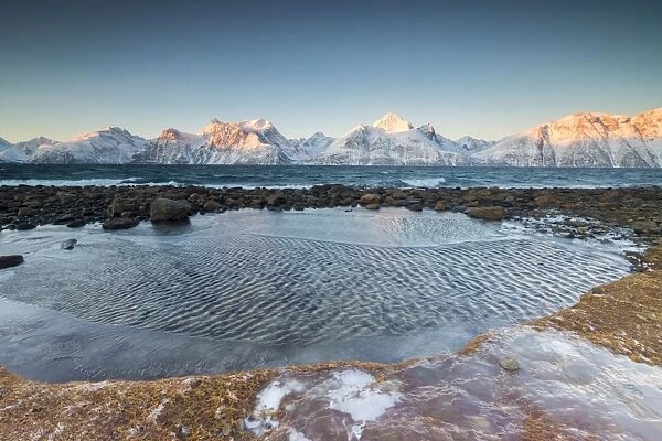 Rocks covered with ice frame the frozen sea surrounded by snowy peaks at dawn, Djupvik