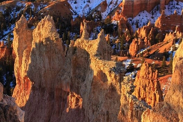 Rocks and hoodoos lit by strong dawn light in winter, Queens Garden Trail at Sunrise Point, Bryce Canyon National Park, Utah, United States of America, North America