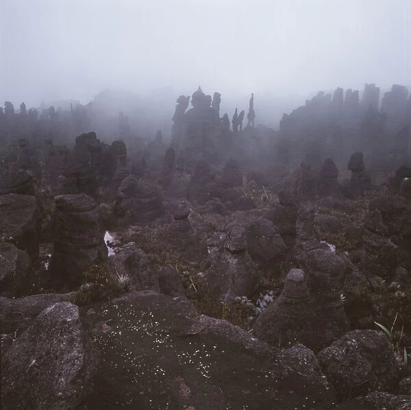 Rocks in the mist on the summit of Mount Kukenaam (Kukenan) (Cuguenan)