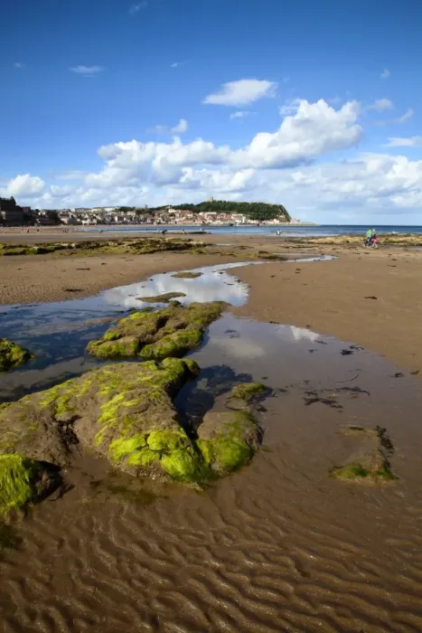 Framed Print : Rocks and Tide Pools in South Bay, Scarborough, North Yorkshire, Yorkshire, England, United Kingdom, Europe Framed Print : Rocks and Tide Pools in South Bay, Scarborough, North Yorkshire, Yorkshire, England, United Kingdom, Europe