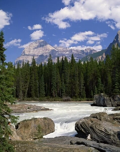 Rocks and trees beside a river with the Rocky Mountains in the background