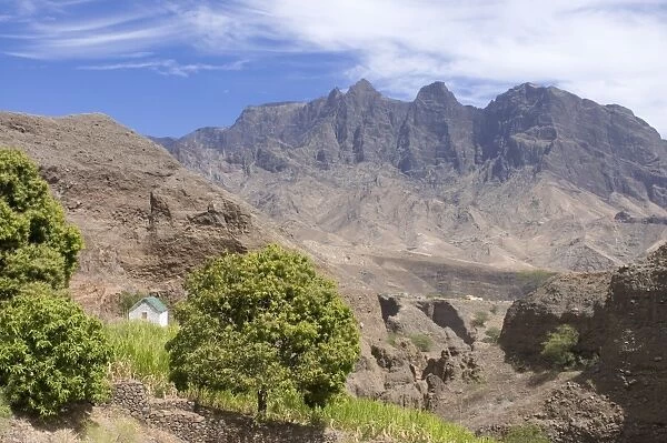 Rocks, vegetation, trees and a little house on island of San Antao, Cape Verde Islands
