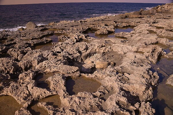 Rocky coast in Bugibba, Malta, Mediterranean, Europe