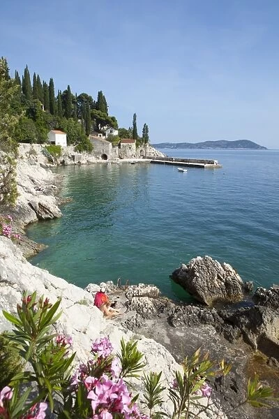 Rocky coast and harbour, Trsteno, Dubrovnik, Croatia, Europe